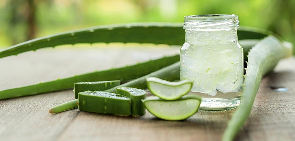 Aloe-vera-gel-kopen-Ontdek-de-voordelen-voor-je-huid Bodynaturals